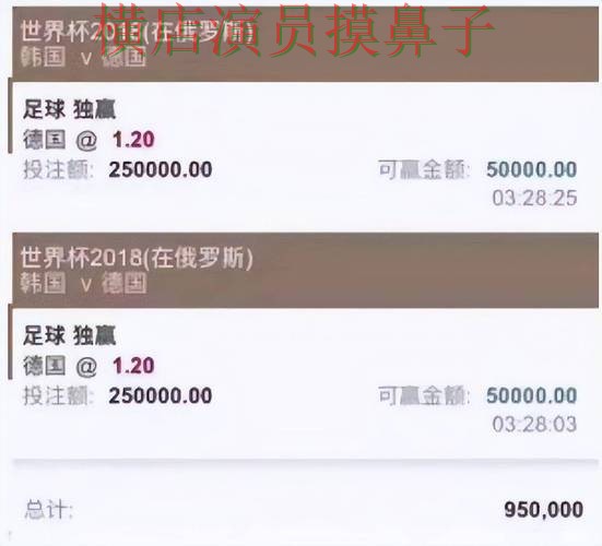 世界杯全球总决赛期间热门世界杯投注网站大全精选与平台排行分析